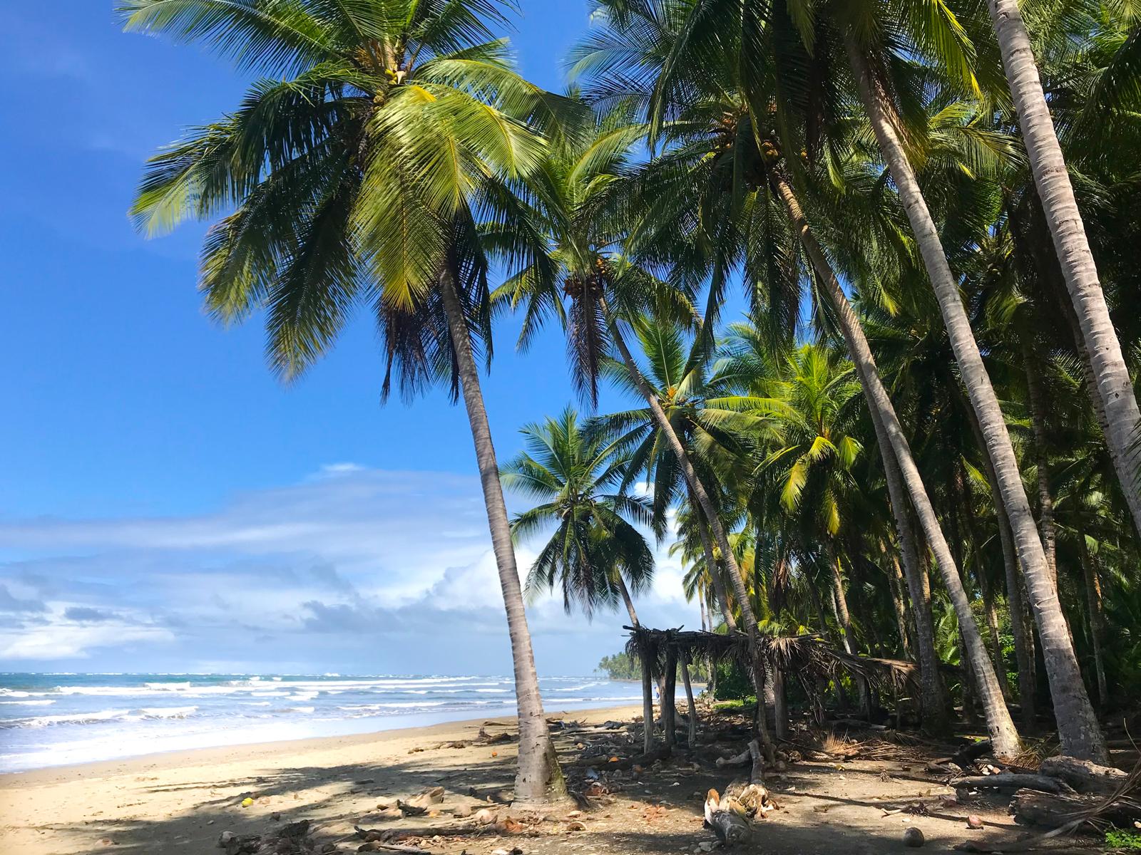 The Costa Rican beach Ilias Contreas calls home